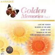 Golden Memories Vol2 VCD1430-WEB